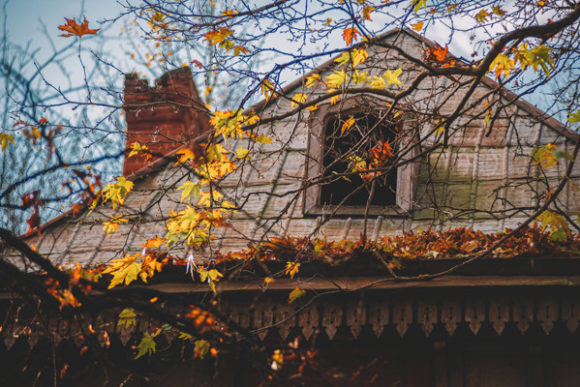 Download Old House Roof and Autumn Leaves - Old house Collection